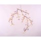 AM1330 BLOSSOM